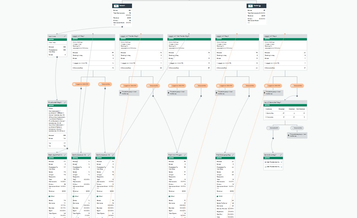 Data perfection for marketing automation